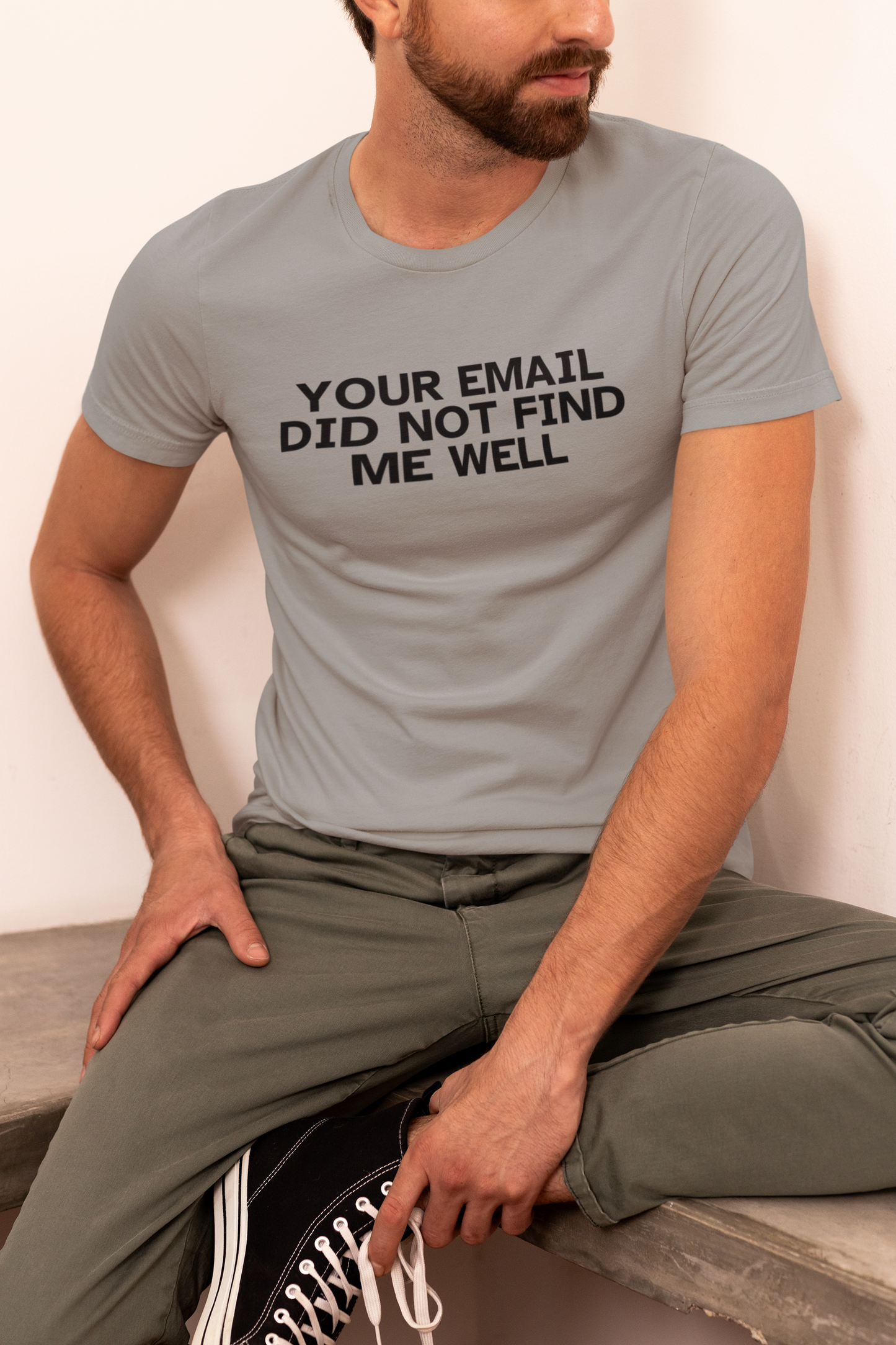 Men's Your Email Did Not Find Me Well Grey T-Shirt