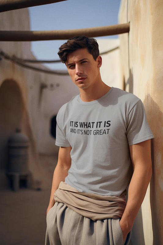 Men's It Is What It Is And It's Not Great Gray T-Shirt