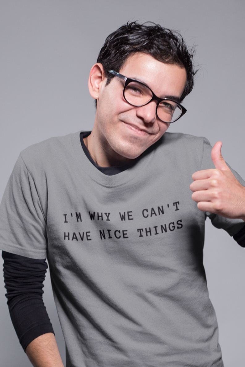 Men's I'm Why We Can't Have Nice Things Grey T-Shirt